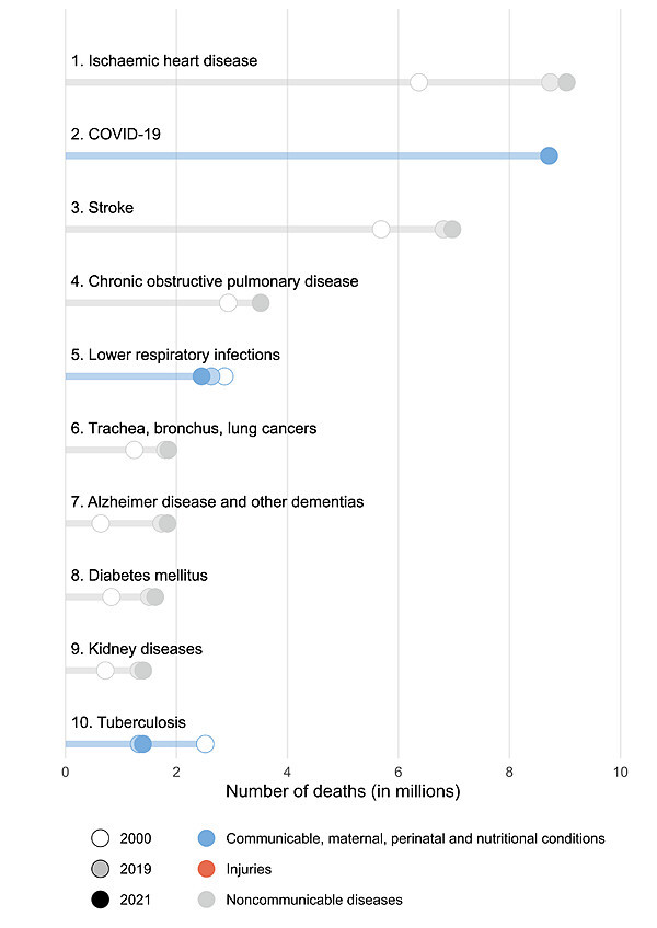 World Health Organization. The top 10 causes of death. August 2024 Leading causes of death globally