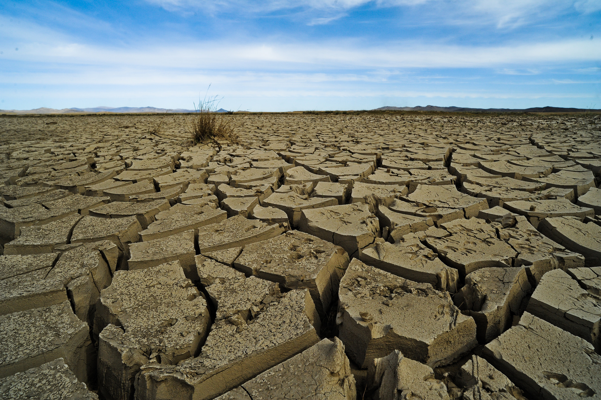 severe drought landscape